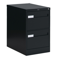 Vertical Filing Cabinet with Recessed Drawer Handles, 2 Drawers, 18.15" W x 26.56" D x 29" H, Black OTE611 | Waymarc Industries Inc