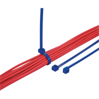 Metal Detectable Cable Ties, 5-9/10" L, 30 lbs. Tensile Strength PF429 | Waymarc Industries Inc