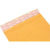 Enveloppes postales coussinées, Kraft, 5" la x 10" lo PG239 | Waymarc Industries Inc