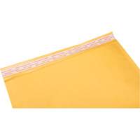 Enveloppes postales coussinées, Kraft, 12-1/2" la x 19" lo PG246 | Waymarc Industries Inc