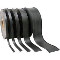 Porte-&eacute;tiquette, Magn&eacute;tique, 600" lo x 2" la Waymarc Industries Inc