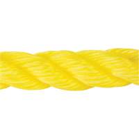 Corde jaune tress&eacute;e, Polypropyl&egrave;ne, 300' Waymarc Industries Inc