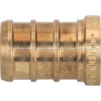 Capuchon de tuyau sans plomb, Tuyau, 1/2" dia., Laiton Waymarc Industries Inc