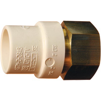 Adaptateur de tuyau filet&eacute;, Noeud x FPT, 1" dia., Laiton/PVC-C Waymarc Industries Inc
