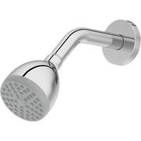 One-Function Showerhead Waymarc Industries Inc