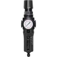 Filtre/r&eacute;gulateur drain manuel avec bol en m&eacute;tal Modulair 300, 1/4" NPT, 250 PSI, Capacit&eacute; de 5,1 oz liq. Waymarc Industries Inc