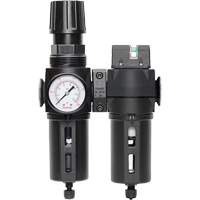 Filtre/r&eacute;gulateur + filtre coalescent drain manuel avec bol standard Modulair 300, 1/4" NPT, 150 psi, Capacit&eacute; de 5,1 oz liq. Waymarc Industries Inc