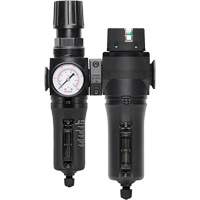 Filtre/r&eacute;gulateur + filtre coalescent drain manuel avec bol en m&eacute;tal Modulair 300, 1/4" NPT, 250 PSI, Capacit&eacute; de 5,1 oz liq. Waymarc Industries Inc