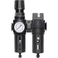 Filtre/d&eacute;tendeur & filtre coalescent Modulair 300 avec bol standard & drain manuel, 3/8" NPTF, 150 psi, Capacit&eacute; de 5,12 oz liq Waymarc Industries Inc