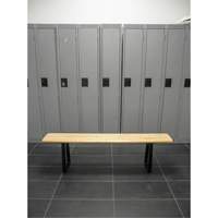 Locker Room Bench, Wood, 96" L x 9-1/4" W x 16-1/2" H RL874 | Waymarc Industries Inc