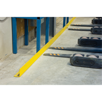 Floor Angle Guard Rails, Steel, 48" L x 5" H, Yellow Waymarc Industries Inc