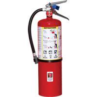 Extincteur d'incendie, ABC, Capacit&eacute; 10 lb Waymarc Industries Inc