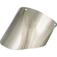Faceshield Visors