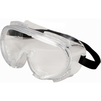 Encompass Safety Goggles, Clear Lens, Anti-Fog, Indirect Vent Waymarc Industries Inc