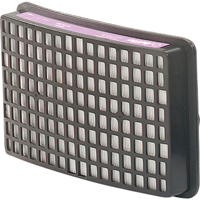 Speedglas Respiratory Protection-replacement Filters & Cartridges, P100 Filter, Pack of 2 Waymarc Industries Inc