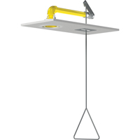 Douches d'urgence &agrave; alimentation horizontale, Montage au plafond Waymarc Industries Inc