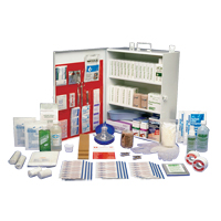 Workplace Deluxe First Aid Kits, Class 1 Medical Device, Metal Box Waymarc Industries Inc