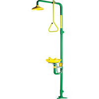 Safe-T-Zone<sup>®</sup> Aerated Combination Shower & Eyewash SD548 | Waymarc Industries Inc
