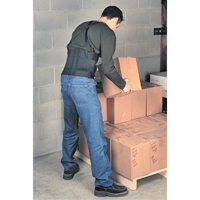 Back Brace and Supports