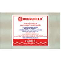 Burnfree&reg; BurngelTM, Gel, Class 2 Waymarc Industries Inc
