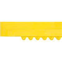 Rampe de bordure pour tapis Waymarc Industries Inc