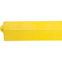 Rampe de bordure pour tapis Waymarc Industries Inc