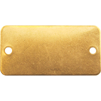 &eacute;tiquettes vierges, Laiton, 3" la x 1" h Waymarc Industries Inc