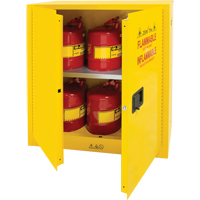 Flammable Storage Cabinet, 30 gal., 2 Door, 43" W x 44" H x 18" D SDN646 | Waymarc Industries Inc