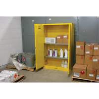 Flammable Storage Cabinet, 45 gal., 2 Door, 43" W x 65" H x 18" D SDN647 | Waymarc Industries Inc