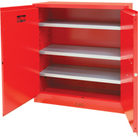 Paint/Ink Cabinet, 45 gal., 3 Shelves SDN650 | Waymarc Industries Inc