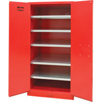 Paint/Ink Cabinet, 96 gal., 5 Shelves SDN652 | Waymarc Industries Inc