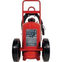 Red Line<sup>®</sup> Wheeled Fire Extinguishers, BC, 150 lbs. Capacity SDN839 | Waymarc Industries Inc