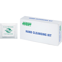 Hand Cleansing Moist Wipes, Towelette SDS863 | Waymarc Industries Inc