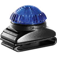 Guardian Warning Light, Continuous/Flashing, Blue Waymarc Industries Inc
