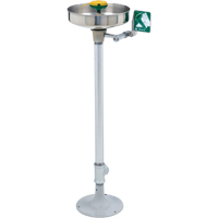 Axion&reg; Eye/Face Wash Station, Pedestal Installation, Stainless Steel Bowl Waymarc Industries Inc