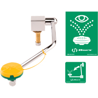 Eye/Face Wash Station, Sink Mount Installation Waymarc Industries Inc