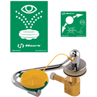 Eye/Face Wash Station, Sink Mount Installation Waymarc Industries Inc