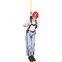 Sangles de s&eacute;curit&eacute; pour traumatisme de la suspension Waymarc Industries Inc