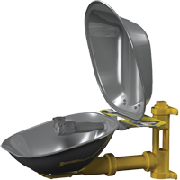 Halo Eyewash Stations, Wall-Mount Installation, Stainless Steel Bowl Waymarc Industries Inc