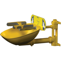 Halo Face/Eyewash Stations, Wall-Mount Installation, Plastic Bowl Waymarc Industries Inc