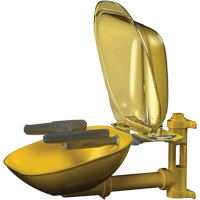Halo Face/Eyewash Stations, Wall-Mount Installation, Plastic Bowl Waymarc Industries Inc