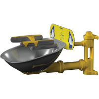 Halo Face/Eyewash Stations, Wall-Mount Installation, Stainless Steel Bowl Waymarc Industries Inc