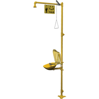 Combinaison de douche d'urgence & douche oculaire Halo Waymarc Industries Inc