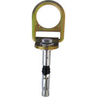PRO™ Concrete D-ring Anchor with Bolt, Concrete/D-Ring, Permanent Use SEB928 | Waymarc Industries Inc