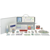 Office Standard Kit, Class 1 Medical Device, Metal Box SEE530 | Waymarc Industries Inc