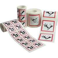 GHS Pictogram Labels, Vinyl, Roll, 4" L x 4" W Waymarc Industries Inc