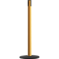 Advance TensaBarrier&reg; - Receiver Post, 36" High, Yellow Waymarc Industries Inc