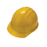 Worker's PPE Starter Kit SEH890 | Waymarc Industries Inc