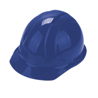 Worker's PPE Starter Kit Waymarc Industries Inc