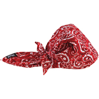 Chill-Its&reg; 6710CT Cooling Triangle Hats, Red Waymarc Industries Inc